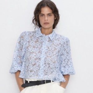 Zara Puff Sleeve Organza Blouse